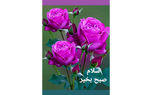 فال ابجد امروز / 10 خرداد + فیلم